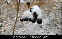 Nokia Lumia 920 - Fotoqualität-wp_20121208_090.jpg