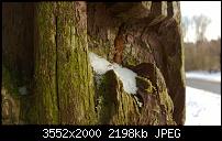 Nokia Lumia 920 - Fotoqualität-wp_20121208_107.jpg