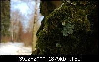 Nokia Lumia 920 - Fotoqualität-wp_20121208_122.jpg