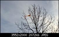 Nokia Lumia 920 - Fotoqualität-wp_20121208_124.jpg