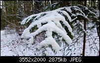 Nokia Lumia 920 - Fotoqualität-wp_20121208_135.jpg