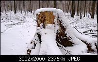 Nokia Lumia 920 - Fotoqualität-wp_20121209_012.jpg