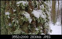 Nokia Lumia 920 - Fotoqualität-wp_20121209_021.jpg