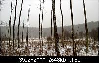 Nokia Lumia 920 - Fotoqualität-wp_20121209_025.jpg