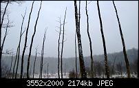 Nokia Lumia 920 - Fotoqualität-wp_20121209_026.jpg