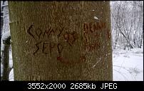 Nokia Lumia 920 - Fotoqualität-wp_20121209_030.jpg