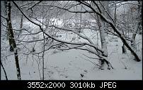 Nokia Lumia 920 - Fotoqualität-wp_20121209_033.jpg