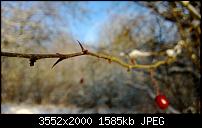 Nokia Lumia 920 - Fotoqualität-wp_20121208_064.jpg