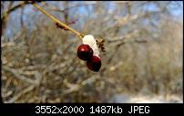 Nokia Lumia 920 - Fotoqualität-wp_20121208_067.jpg