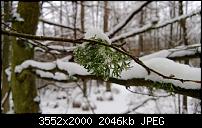 Nokia Lumia 920 - Fotoqualität-wp_20121209_017.jpg