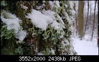 Nokia Lumia 920 - Fotoqualität-wp_20121209_022.jpg