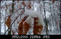 Nokia Lumia 920 - Fotoqualität-wp_20121209_042.jpg