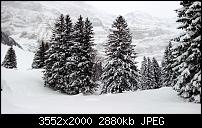 Nokia Lumia 920 - Fotoqualität-wp_20121207_015.jpg