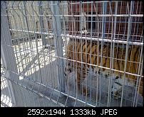 Nokia Lumia 920 - Fotoqualität-21052012525.jpg