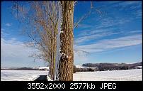 Nokia Lumia 920 - Fotoqualität-wp_20121201_044.jpg