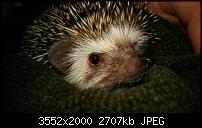 Nokia Lumia 920 - Fotoqualität-wp_20121213_019.jpg