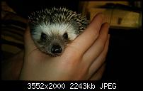 Nokia Lumia 920 - Fotoqualität-wp_20121213_023.jpg