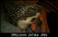 Nokia Lumia 920 - Fotoqualität-wp_20121213_026.jpg