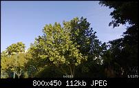 Nokia behebt Unschärfe-Phänomen der Kamera!-nokialumia920update29.jpg