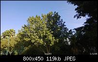 Nokia behebt Unschärfe-Phänomen der Kamera!-nokialumia920update30.jpg