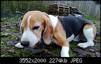 Nokia Lumia 920 - Fotoqualität-wp_20121202_016.jpg