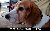 Nokia Lumia 920 - Fotoqualität-wp_20121202_025.jpg