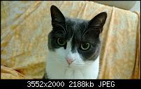 Nokia Lumia 920 - Fotoqualität-wp_20121220_012.jpg