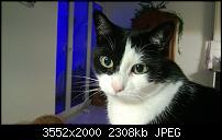 Nokia Lumia 920 - Fotoqualität-wp_20121220_024.jpg