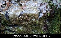 Nokia Lumia 920 - Fotoqualität-wp_20121220_012.jpg