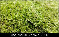 Nokia Lumia 920 - Fotoqualität-wp_20121220_020.jpg