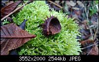 Nokia Lumia 920 - Fotoqualität-wp_20121220_026.jpg