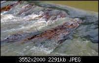 Nokia Lumia 920 - Fotoqualität-wp_20121222_009.jpg