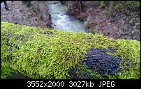 Nokia Lumia 920 - Fotoqualität-wp_20121222_014.jpg