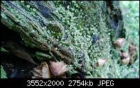 Nokia Lumia 920 - Fotoqualität-wp_20121222_017.jpg