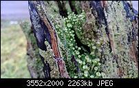 Nokia Lumia 920 - Fotoqualität-wp_20121222_021.jpg