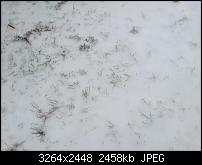 Neues Update bringt Kamera fix, reboot fix, boot-up fix und bessere Akkulaufzeit-wp_20121223_022.jpg