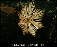 Neues Update bringt Kamera fix, reboot fix, boot-up fix und bessere Akkulaufzeit-wp_20121223_031.jpg