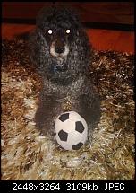 Neues Update bringt Kamera fix, reboot fix, boot-up fix und bessere Akkulaufzeit-wp_20121223_049.jpg