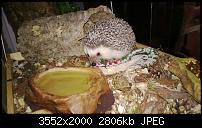 Nokia Lumia 920 - Fotoqualität-wp_20130103_007.jpg