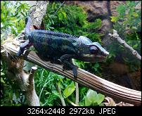 Nokia Lumia 920 - Fotoqualität-wp_20121209_015.jpg