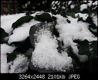 Nokia Lumia 920 - Fotoqualität-5_galaxys3.jpg