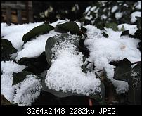 Nokia Lumia 920 - Fotoqualität-5_iphone4s.jpg