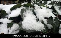 Nokia Lumia 920 - Fotoqualität-5_lumia820.jpg