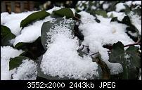 Nokia Lumia 920 - Fotoqualität-5_lumia920.jpg