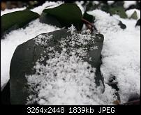 Nokia Lumia 920 - Fotoqualität-6_galaxys3.jpg