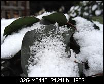 Nokia Lumia 920 - Fotoqualität-6_iphone4s.jpg