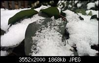 Nokia Lumia 920 - Fotoqualität-6_lumia820.jpg