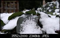 Nokia Lumia 920 - Fotoqualität-6_lumia920.jpg