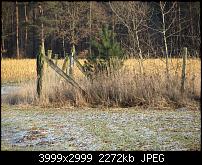 Nokia Lumia 920 - Fotoqualität-landschaft-zoom-sx230.jpg