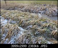 Nokia Lumia 920 - Fotoqualität-gras-auto-sx230.jpg